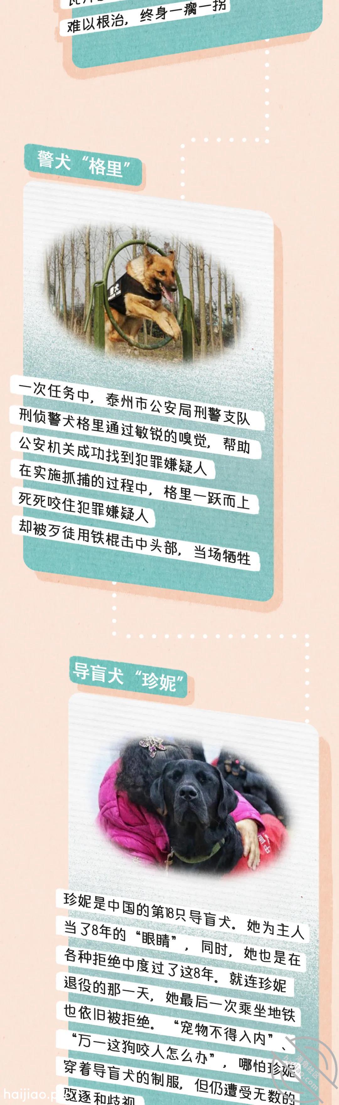 身中8枪，横尸街头，却上不了一 喜羊羊美羊羊懒羊羊沸羊羊 jpg-9 海角社区